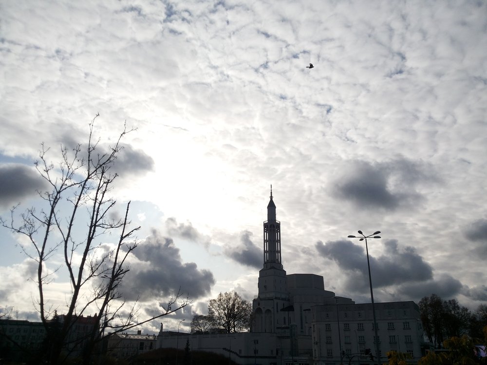 Photo #5205341