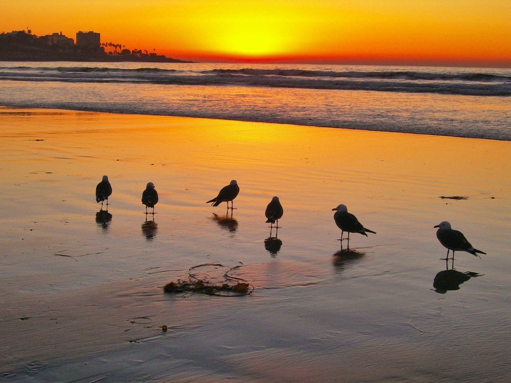 Photograph by Cesar Lorenzano