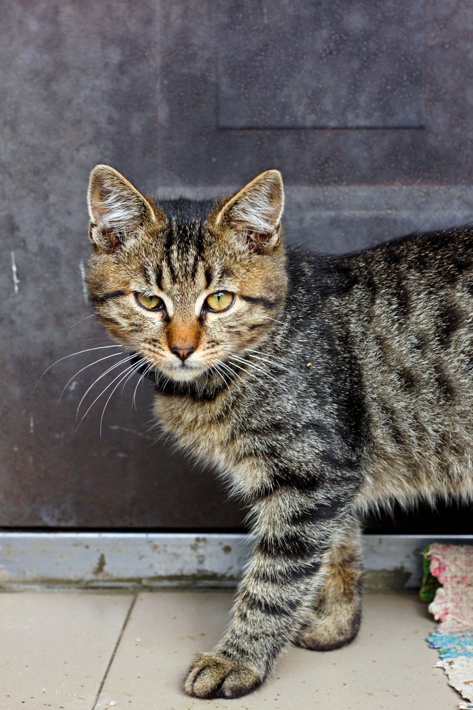 Photograph by Валерия Карпинская