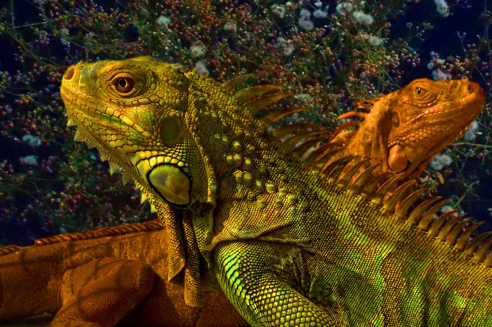 Photograph by Vy Van Bui