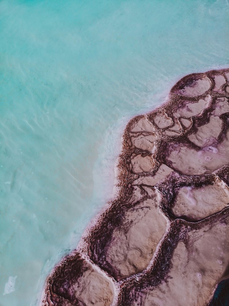 Photograph by Alisa Bryz-Gornia