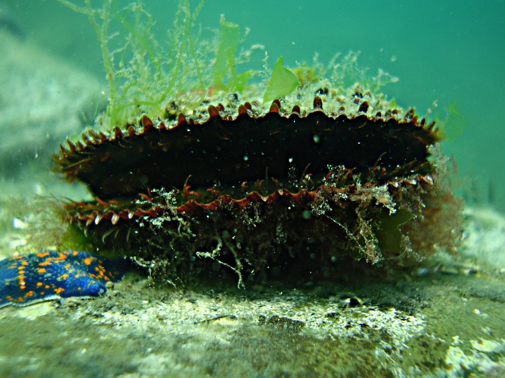 Photograph by Виктор Егоров