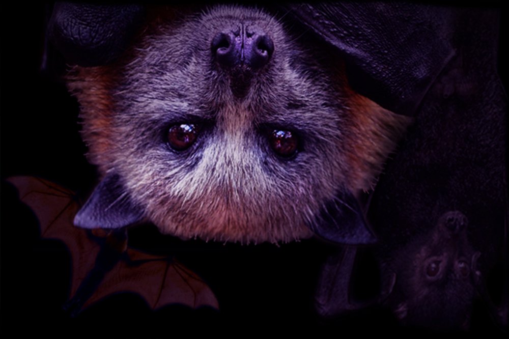 Photograph by Vy Van Bui