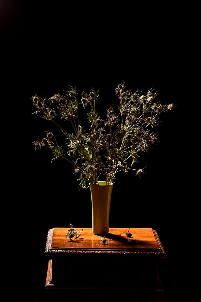 Photograph by Amalya Shandelman