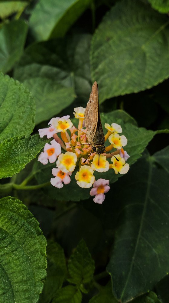 Photograph by Nishant Raj