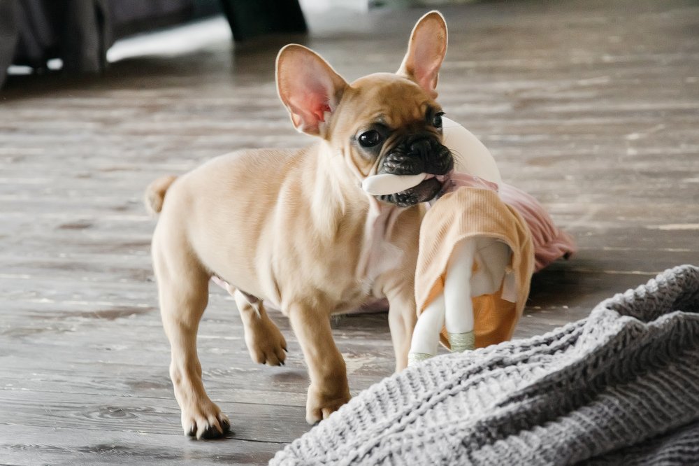 Photograph by Валентина Дёмина