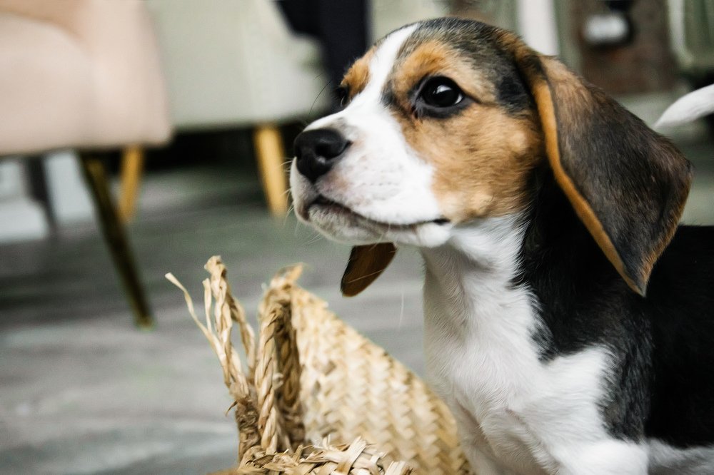 Photograph by Валентина Дёмина