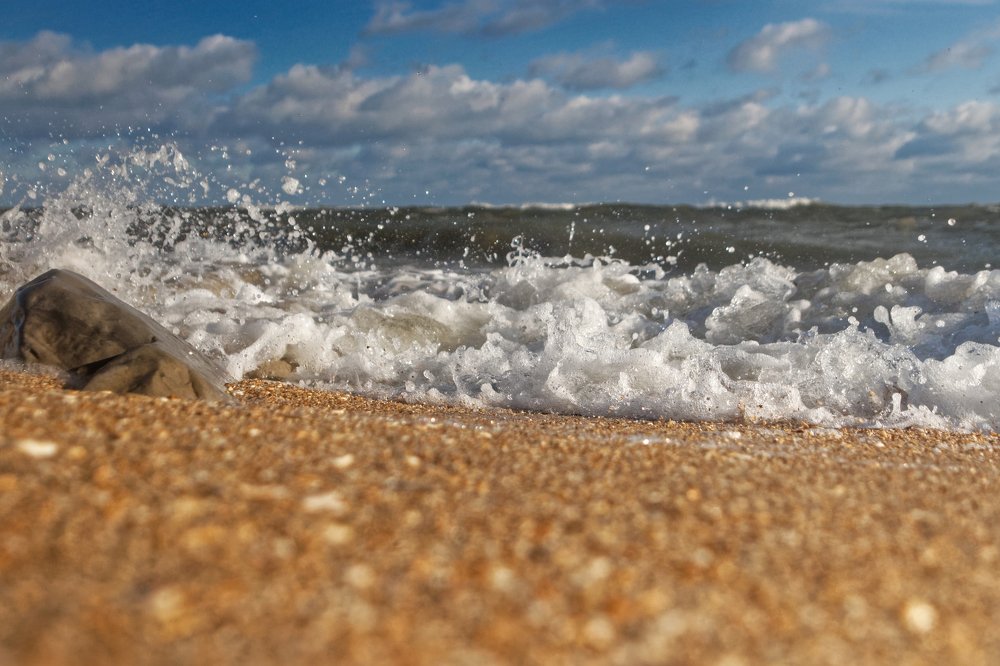 Photograph by Анатолий Калмыков