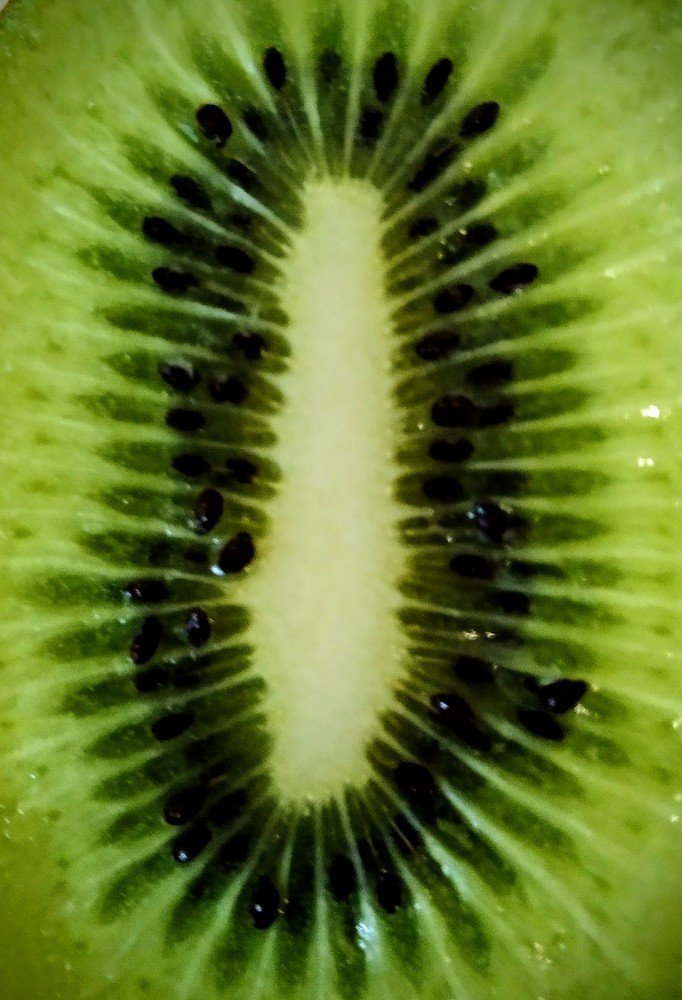 Photograph by Gunasekera Janath