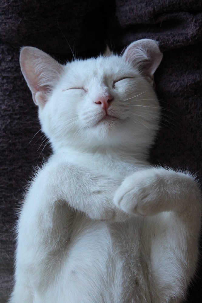 Photograph by Наталья Кузнецова