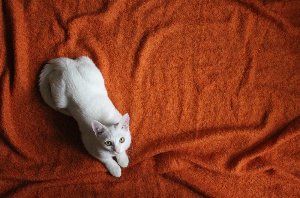 Photograph by Наталья Кузнецова