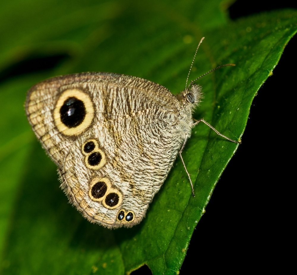 Фотография автора Paul Manjooran