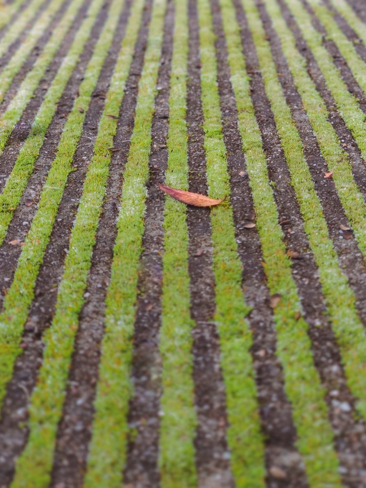 Photograph by Ольга