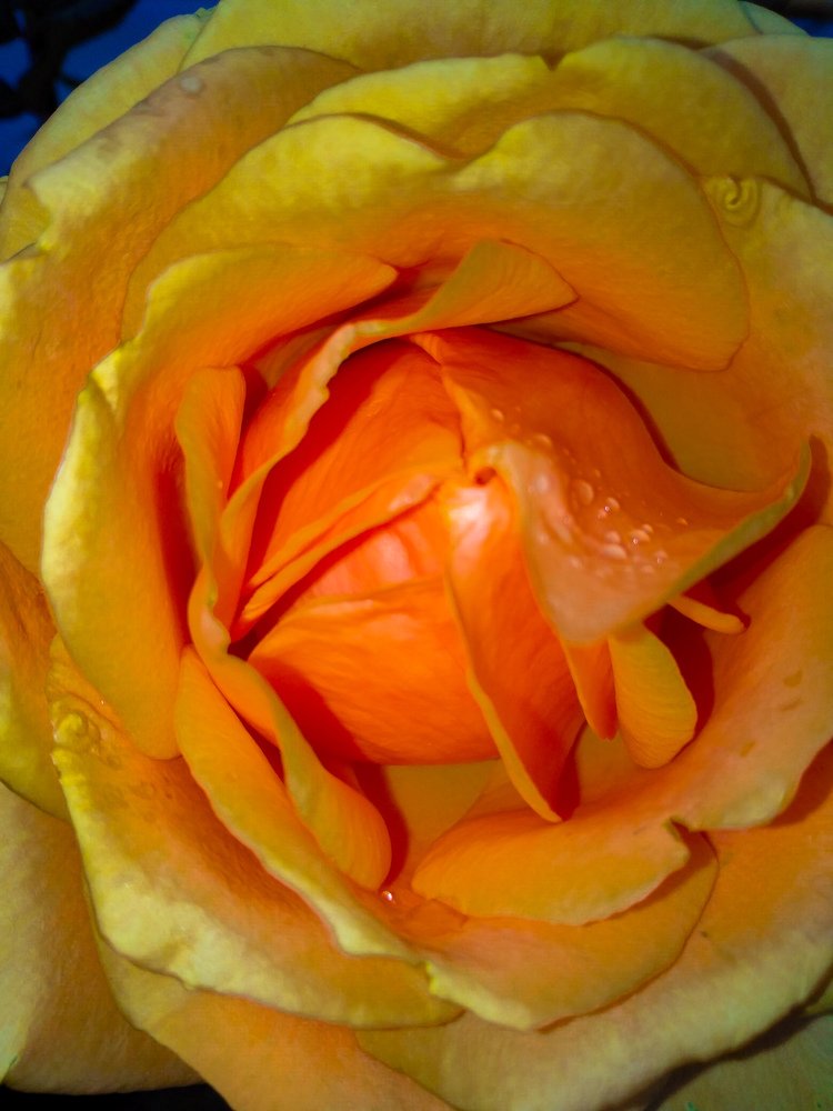 Photograph by Дмитрий Тимин