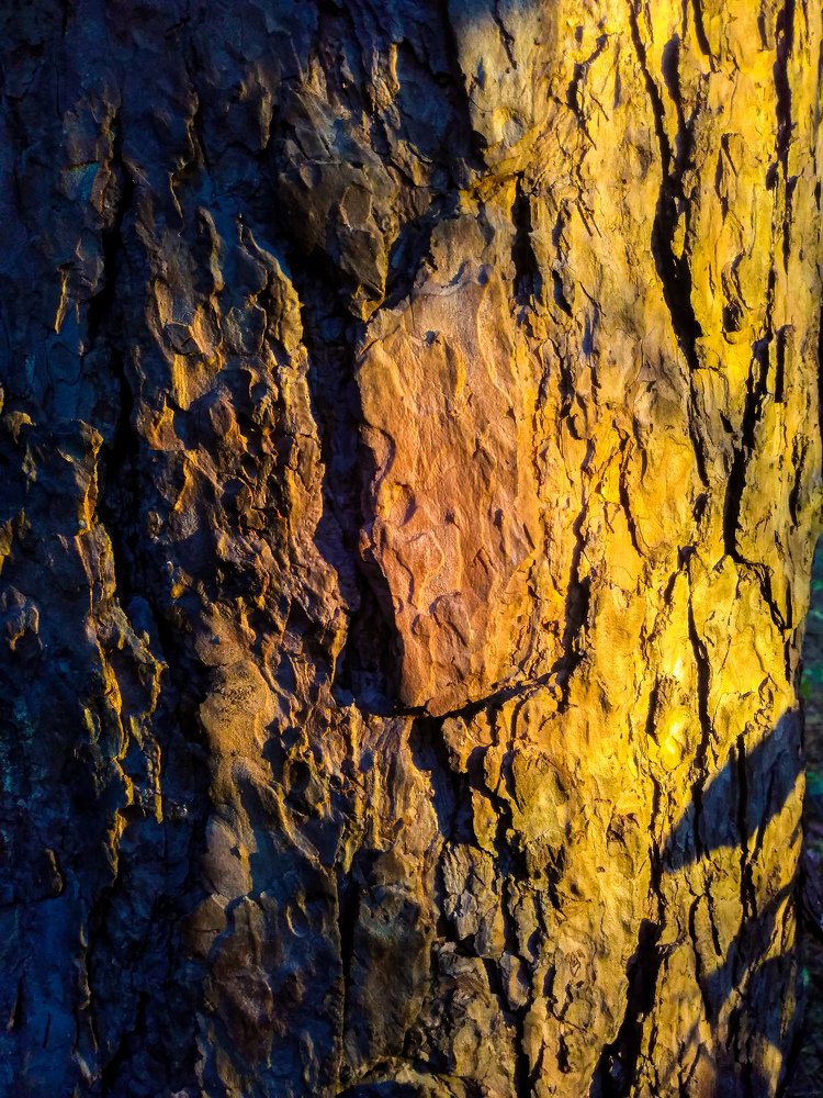 Photograph by Дмитрий Тимин