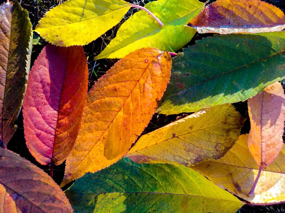 Photograph by Дмитрий Тимин