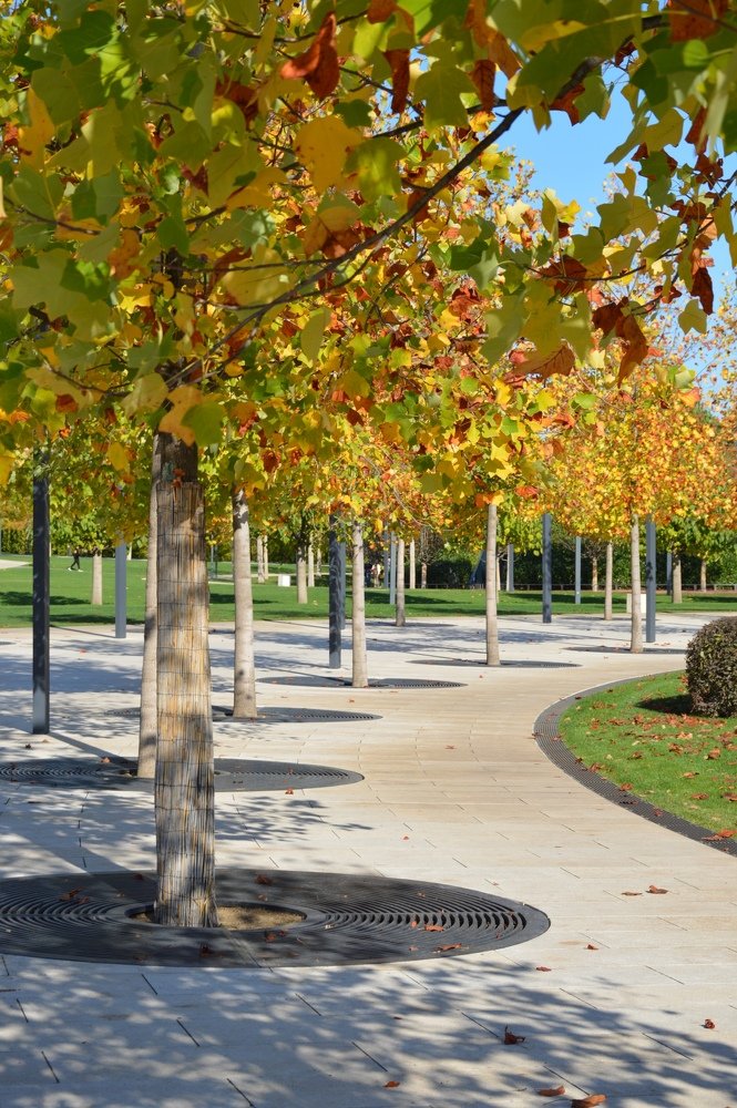 Photograph by Марина Гончарова