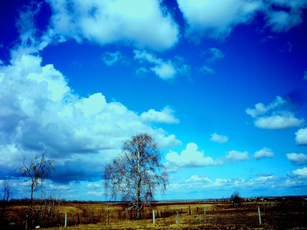 EVERYTHING IS SAD, EXCEPT THE SKY!