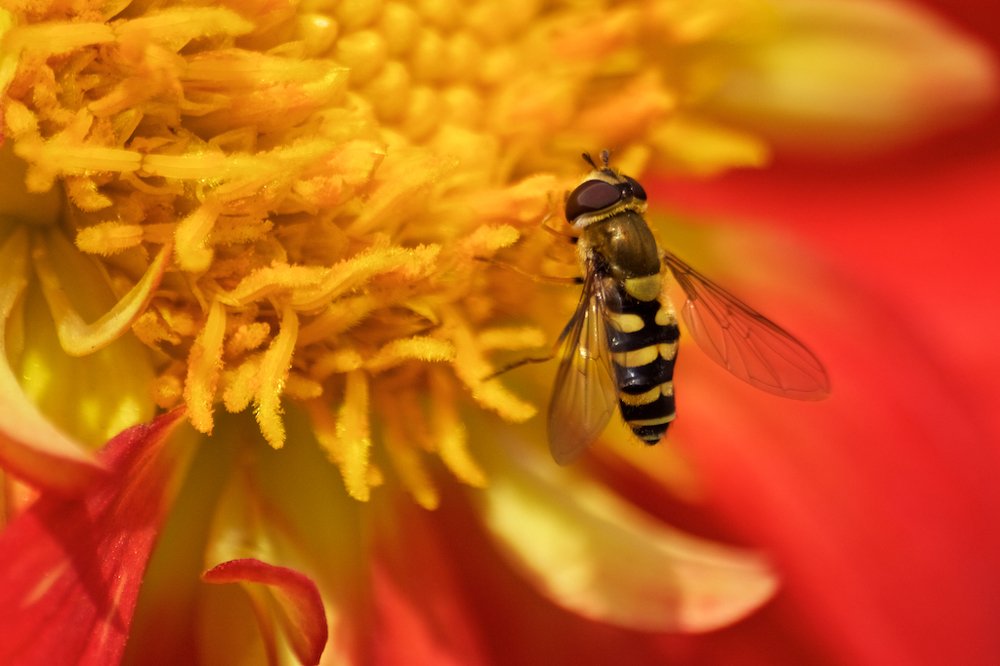 Photograph by Алёна Гильмуллина