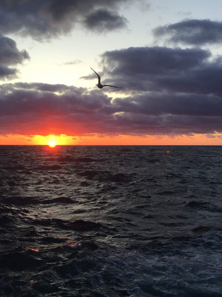 Photograph by Елена Клочкова