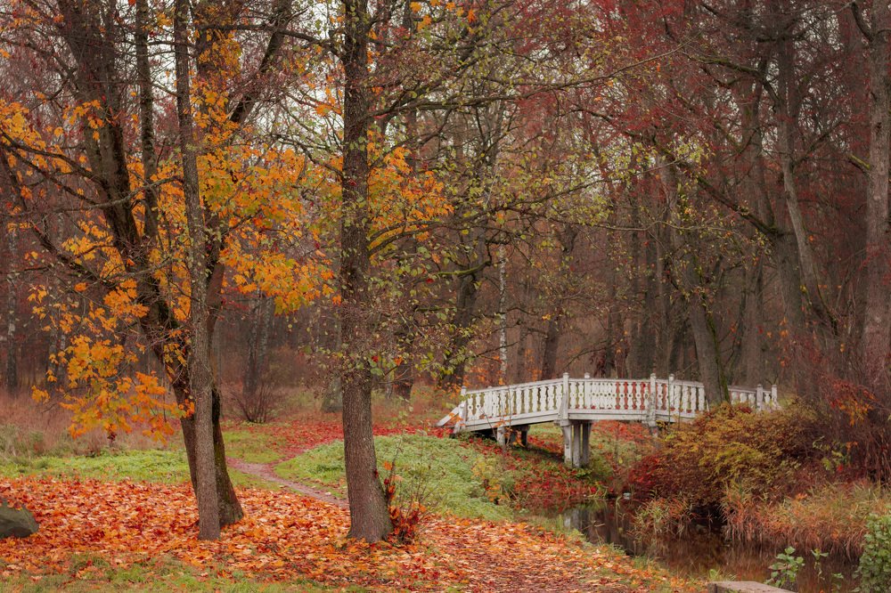 Фотография автора Ольга Никанович
