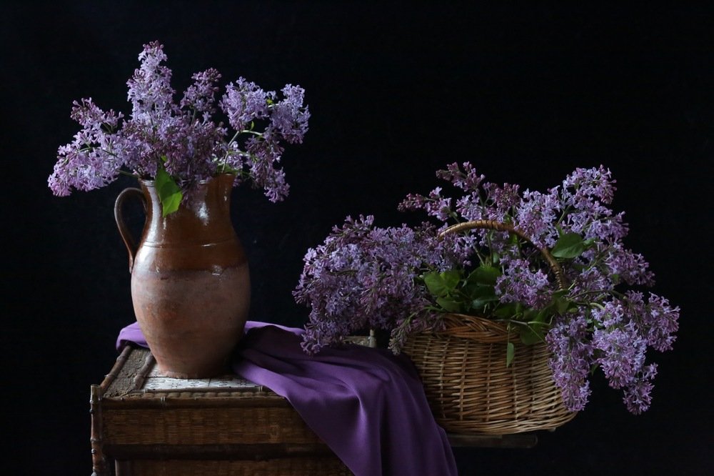 Photograph by Алена Гершфельд