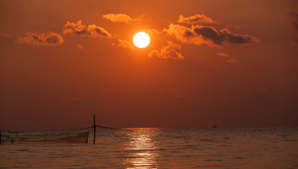 Photograph by Александр Земляной