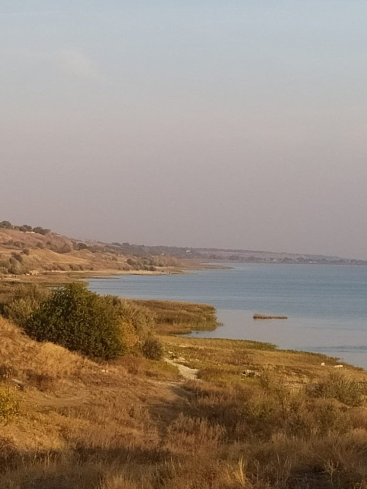 Photograph by Ольга Клименко