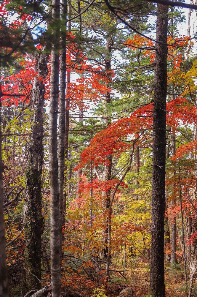 Photograph by Маргарита Федурина