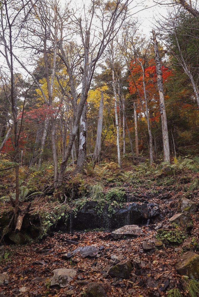 Photograph by Маргарита Федурина