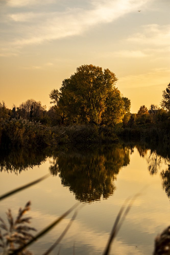 Photograph by Eleonora Pecoraro