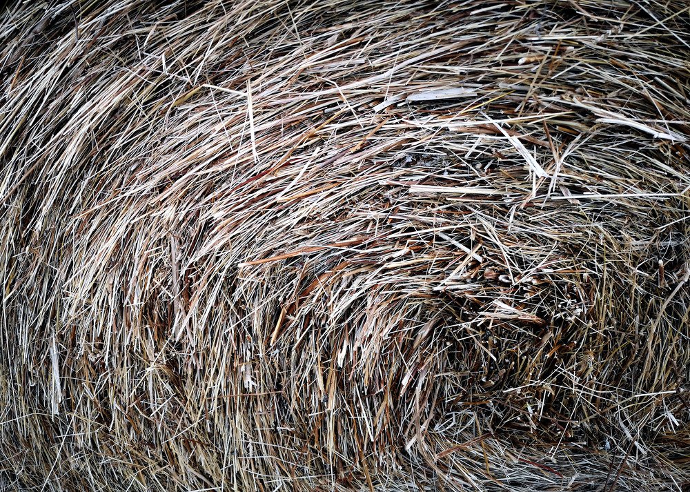 Photograph by Marina Razheva