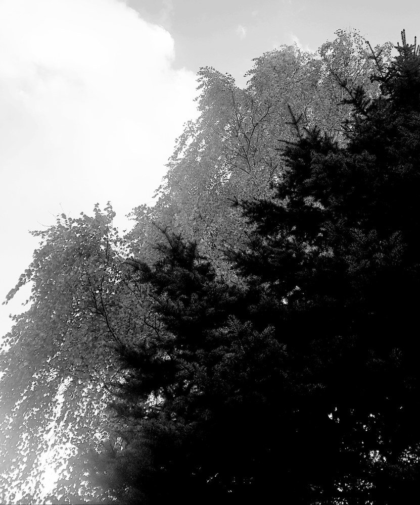 Фотография автора Vladimíra Dolanska