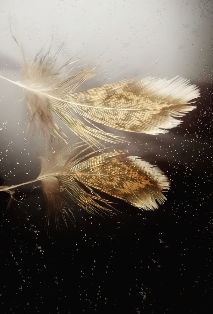 Photograph by Алена Круглик