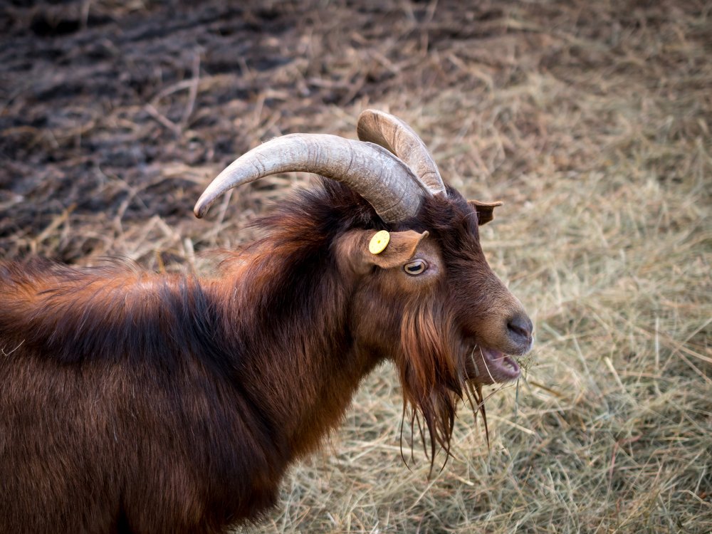 Photograph by Ivona Zubakova