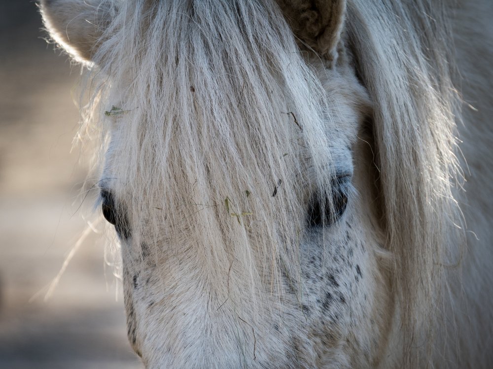 Photograph by Ivona Zubakova