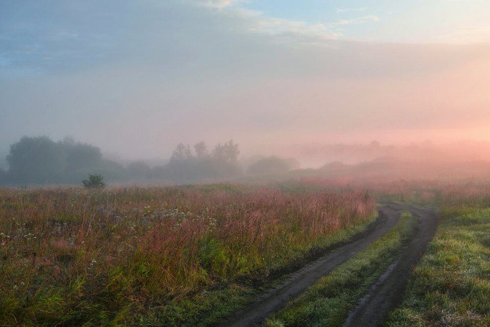 В тумане тают очертания
