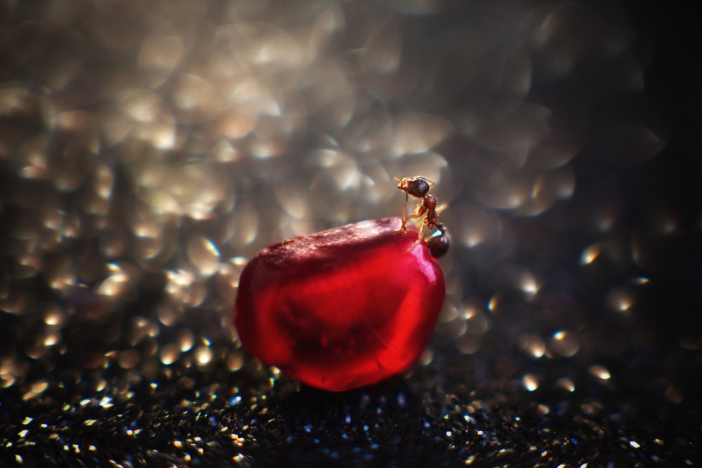 Photograph by Анастасия Думинская