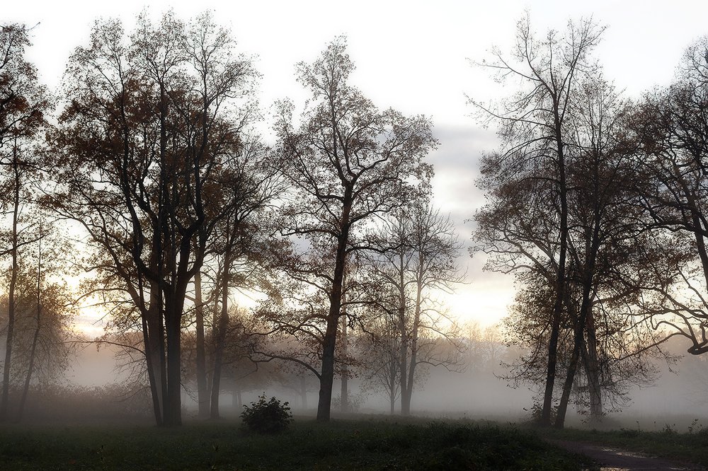 Photograph by Чистякова Валерия