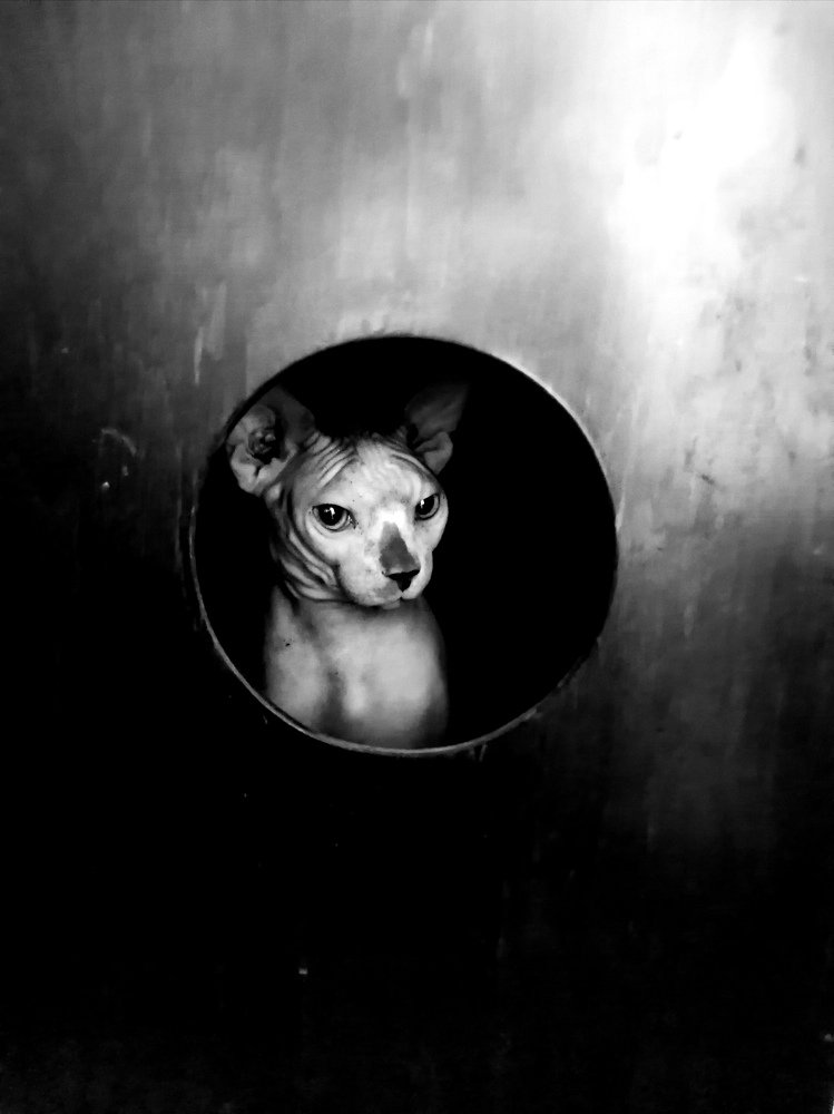 Photograph by Александр Тэльнор