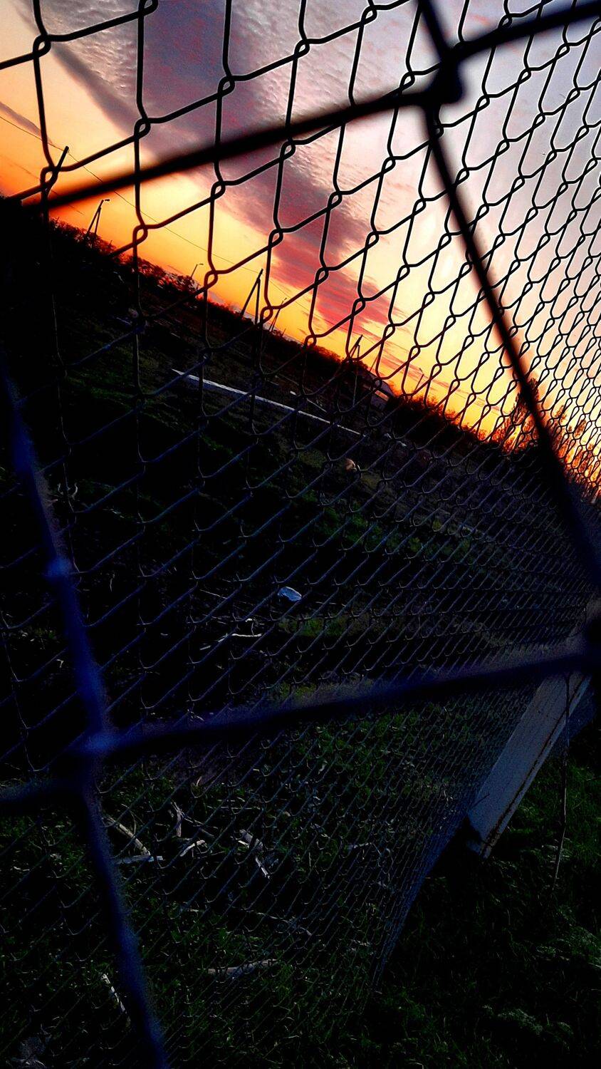 Photo #5206580