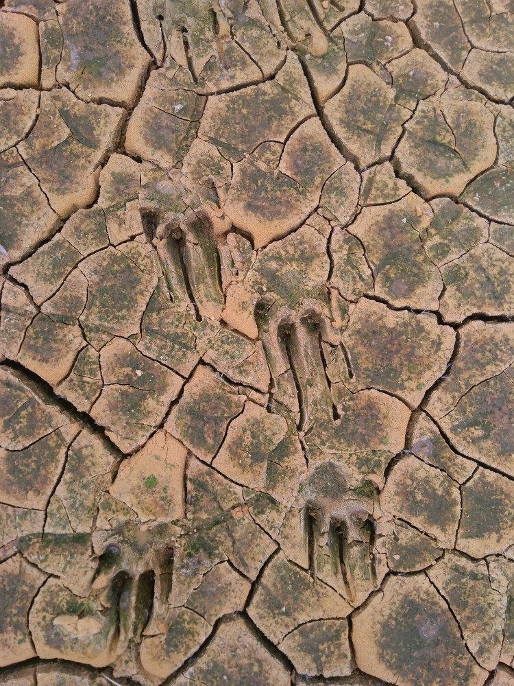 Photograph by Елена Фролова