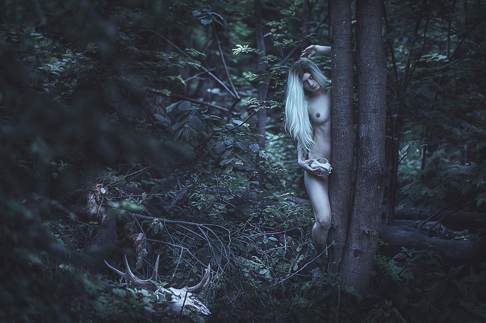 Фотография автора Наталья Копылова