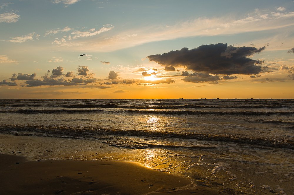 Photograph by Алексей Черенков