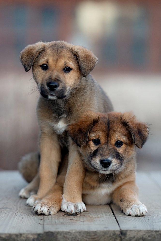 Photograph by Чистякова Валерия