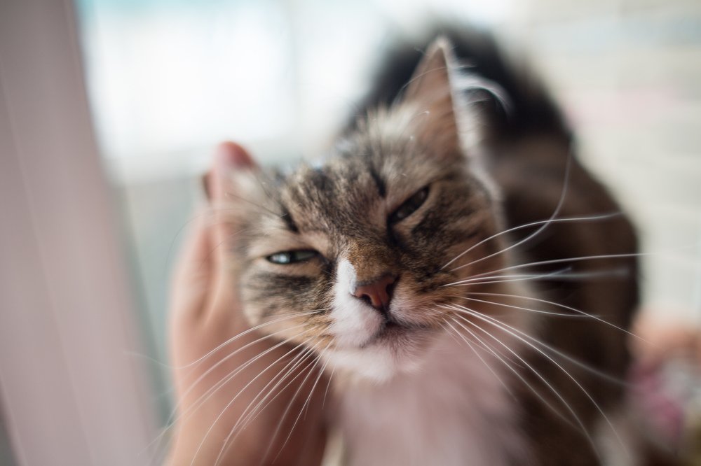 Photograph by Степан Кравченко