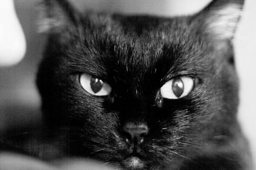 Photograph by Степан Кравченко