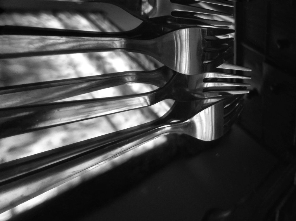 Photograph by Madhuri Devasani