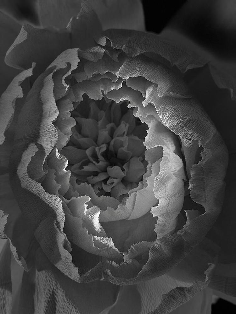 Фотография автора Ирина Ковановская