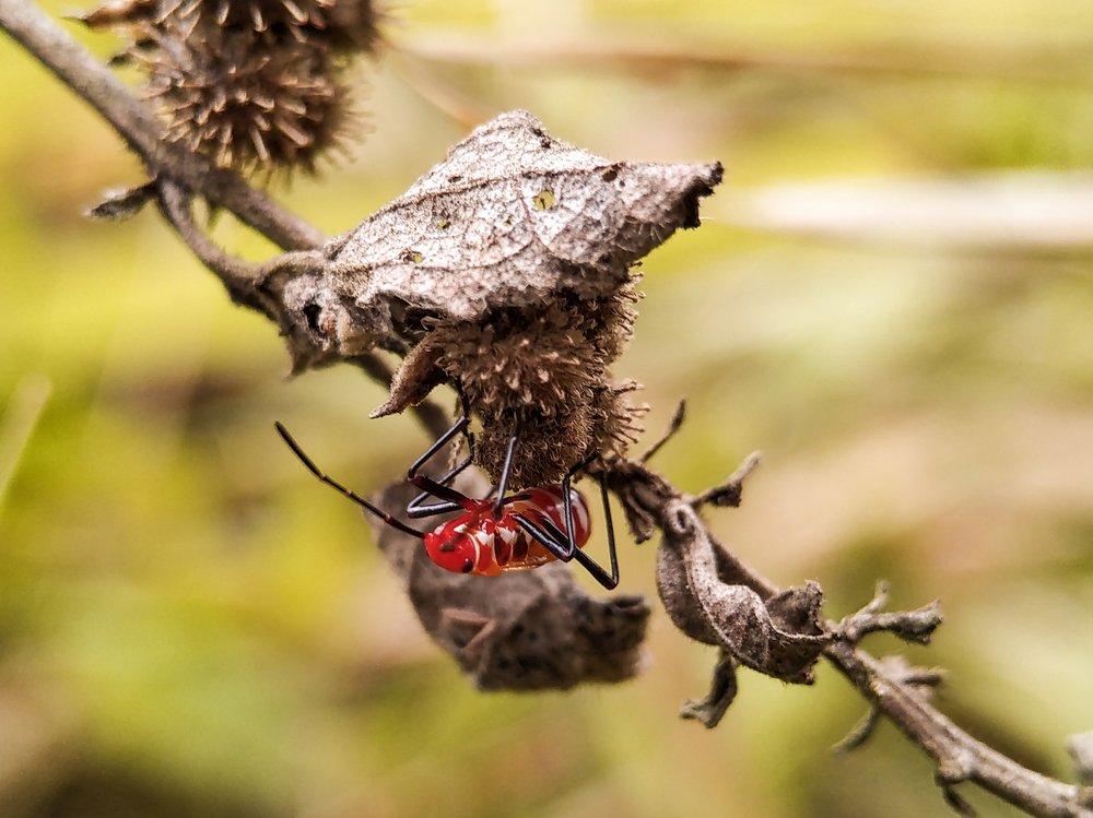 Photograph by Setiawan Denys